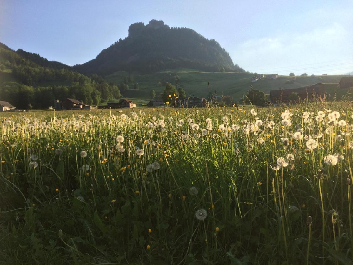 Wies Stein  ภายนอก รูปภาพ